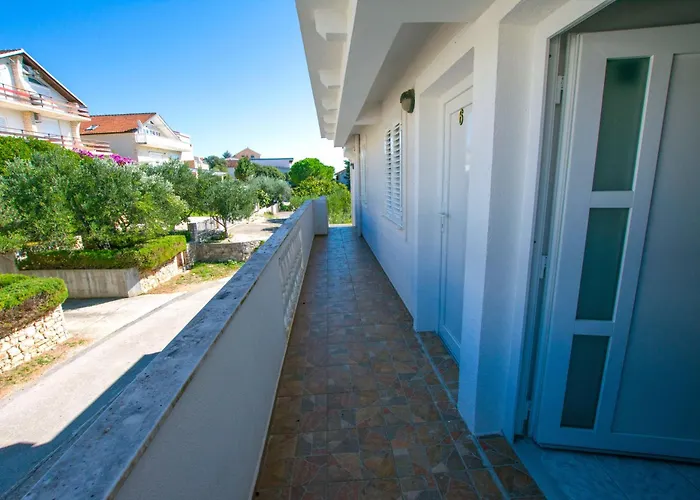 Mate 스베티 페타르