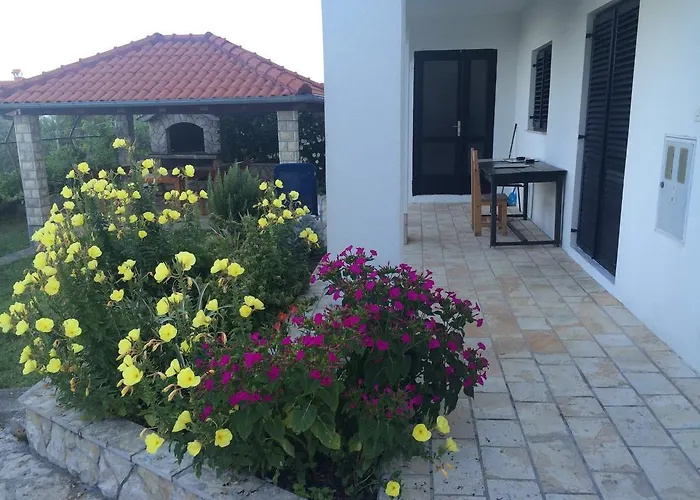 Mate 스베티 페타르